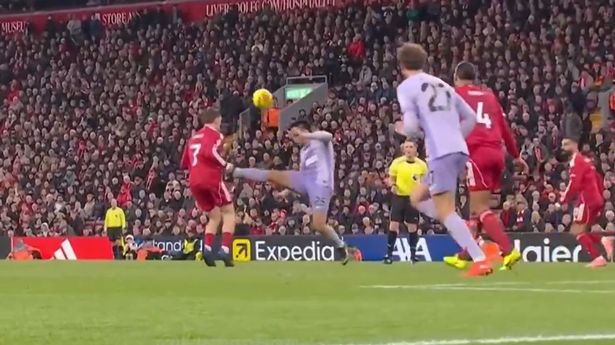 ''  '' ⴹᴧѧжպ 'µ'