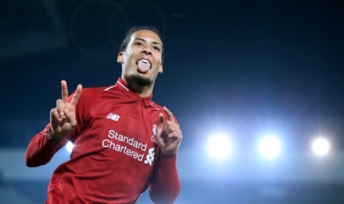 VVD �������������䫴�������ʪ�������