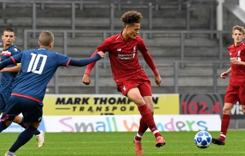 ������˧���� VD �Ѳ�ҡ�����-��ѧ���������ʹ��