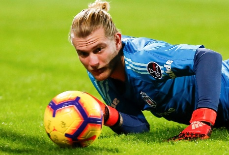 ������ʻ�С�ȡ���Ǣ��������������ຫԤ��ʵ��