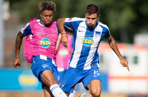 �������һ������ '����ԫ' ��������������ա����