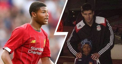 �ٴ��͹����ͺ�� '���������' �һ��������