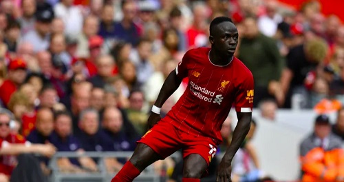 �����ա! ����������Դ�è� '���' ��ѧ�Ѻ����ѭ�����