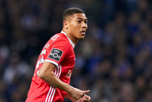 ����鹴��¤� ���������Ŕ ������ͧ�����ٿ������ູ�ԡ�