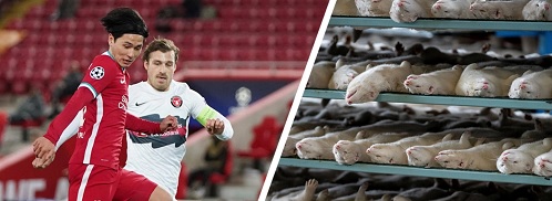 ����ա! ˧��ǹἹ�ء�Դ����Ź���˵���Դഹ�����кҴ