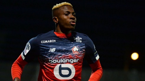 �������������! ������駤�ҵ�� '�ͫ���ι' 41 Ż.